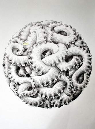 Тату щупальца