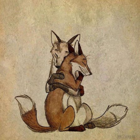 Лисы арт Culpeo Fox