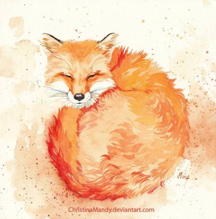 Рисунок лисы в круге