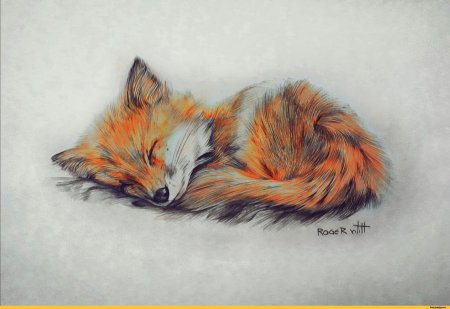 Лиса нарисовать