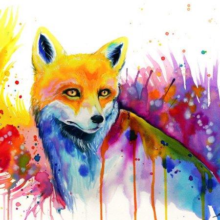 Лиса красками