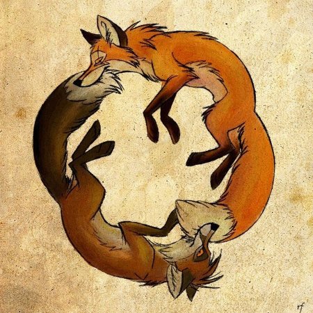 Кульпео Фокс скиа