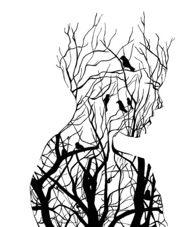 Наброски одной линией