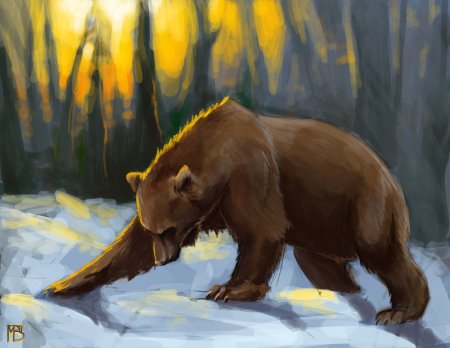 Медведь арт
