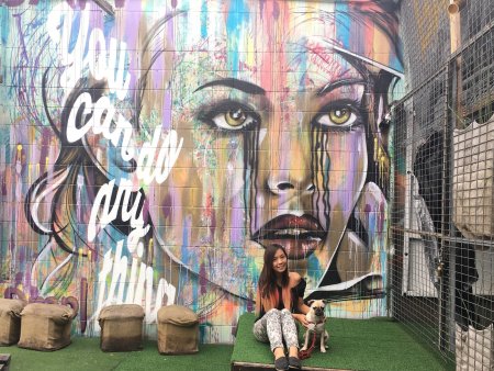 Брисбен стрит-арт