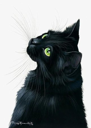 Черная кошка арт