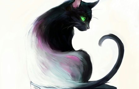 Черная кошка арт