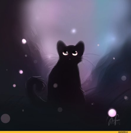 Черный котик арт