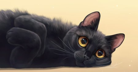 Черная кошка арт