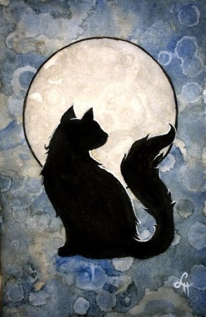 Кошка на фоне Луны