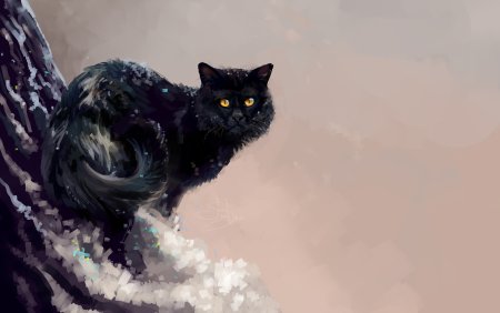 Коты арты