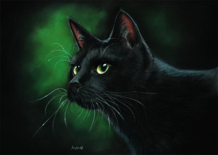 Черная кошка арт