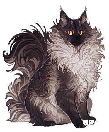 Коты Воители ролка