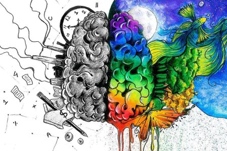 Воображение мозг