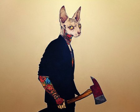 Кот сфинкс арт