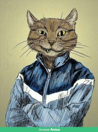 Кот в человеческой одежде