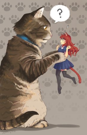 Коты в стиле аниме