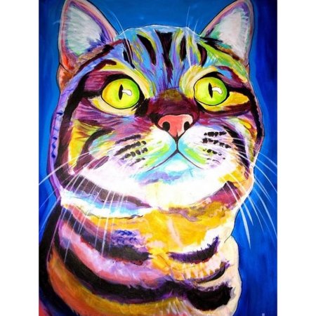 Креативный кот