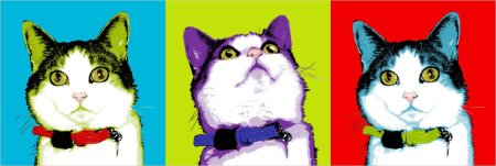 Портрет поп арт кот