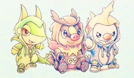 Unova Starter Pokemon