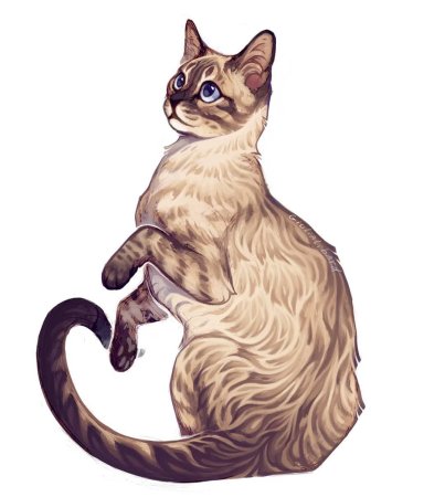 Коты Воители Сиамская кошка