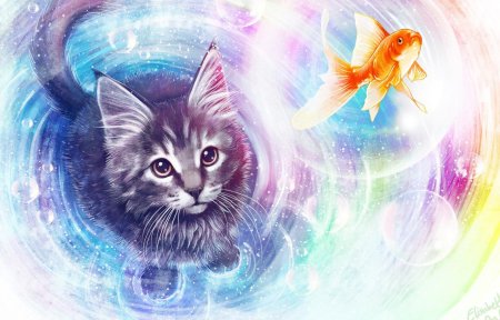 Магический котенок