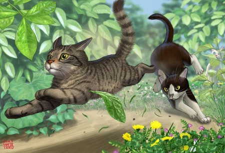 Коты Воители 2 кота