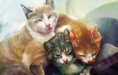 Рисунки котиков