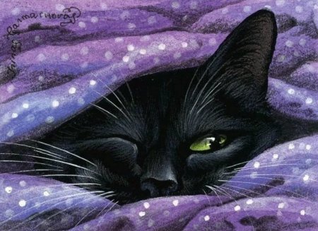 Картины Ирины Гармашовой коты