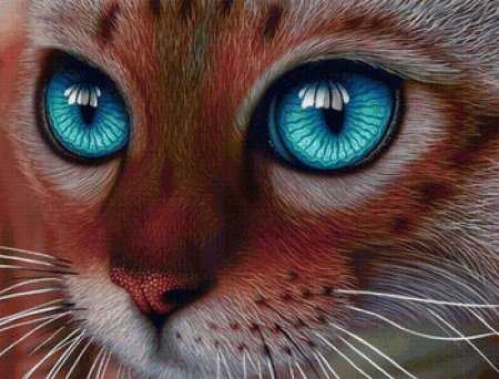 Кот с бирюзовыми глазами