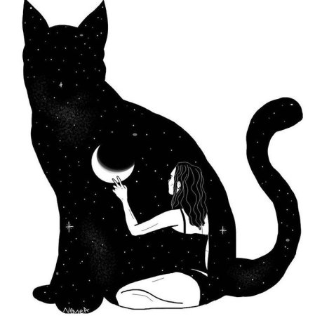 Силуэт девушки с кошкой