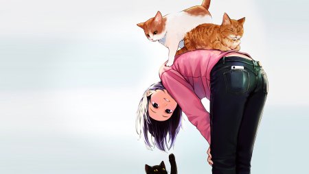 Аниме девушки кошки