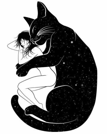 Силуэт девушки с кошкой