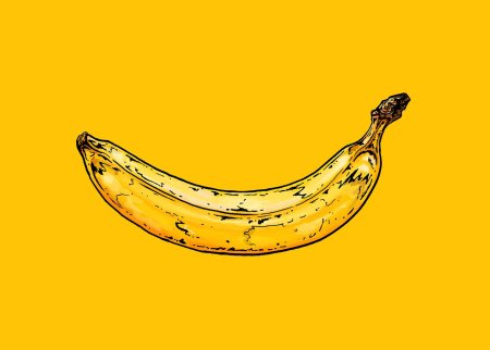 Банан арт