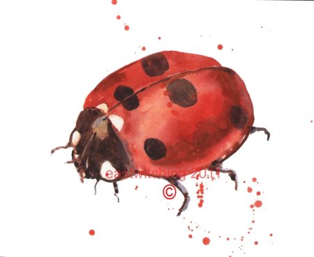 Божья коровка арт