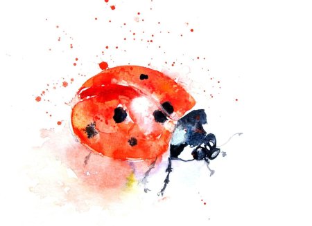 Божья коровка акварелью