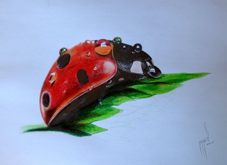 Божья коровка арт