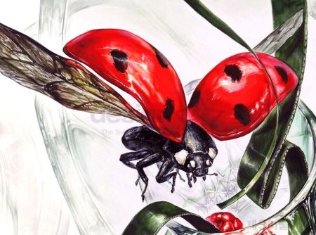 Божья коровка арт