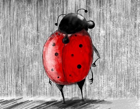 Божья коровка Графика