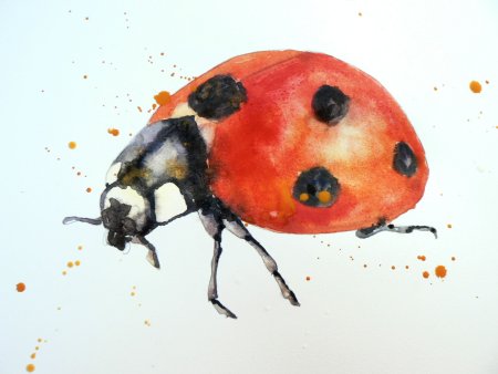 Насекомые акварелью