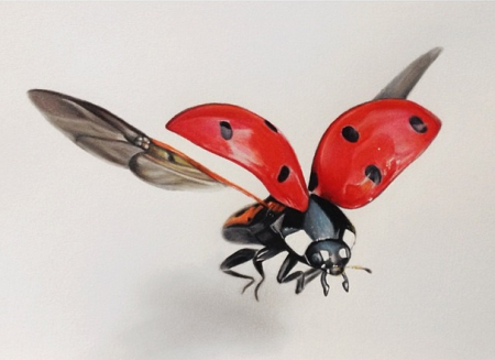 Декупаж Божья коровка