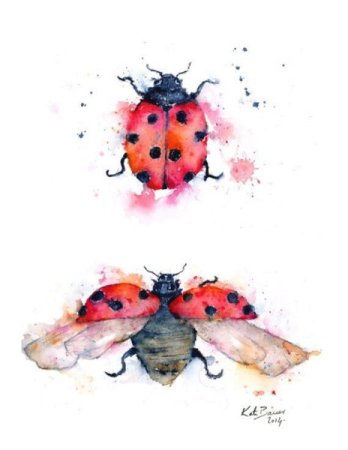 Божья коровка эскиз