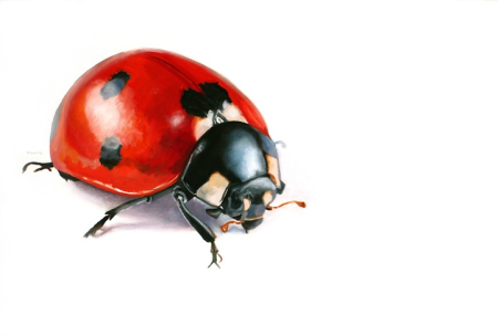 Божья коровка на листике арт