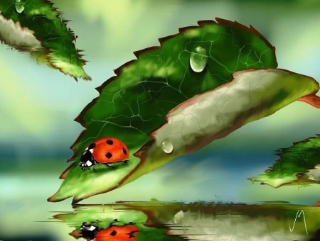 Божья коровка арт