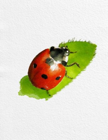 Божья коровка гуашью