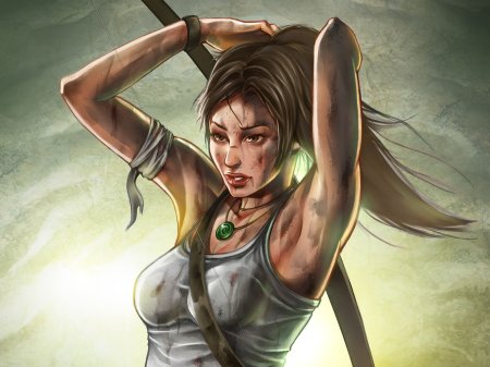 Лара Крофт 2013 майка