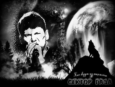 Сектор газа черно белый арт