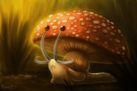 Фантастическая улитка