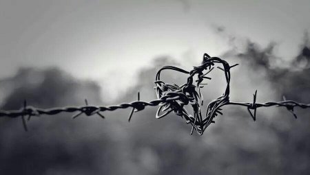 Колючая проволока
