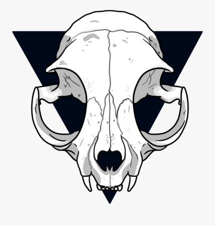 Череп кошки